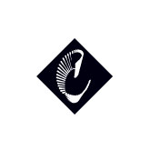 Sensational cinemotion logo