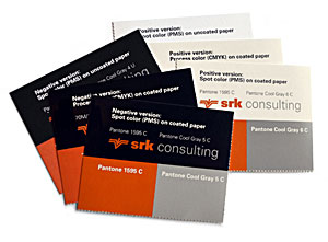 color swatch chips for SRK Consulting branding