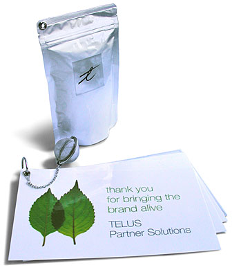 TELUS employee branding guidelines packaged with loose tea and a tea ball designed by design hq inc.