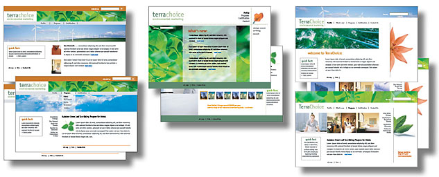 3 original design themes for terrachoice environmental marketing's website designed by design hq inc.